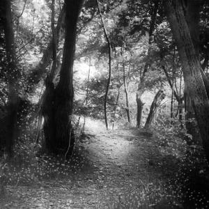 卫兰-Christopher Corrigan X 就算世界无童话 (Hyman Mashup)