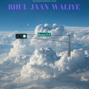 Bhul Jaan Waliye