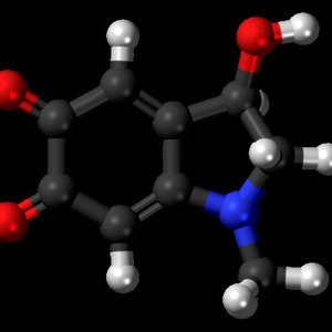 あどれなくろむ