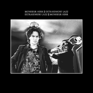 Disciplinary Inaction