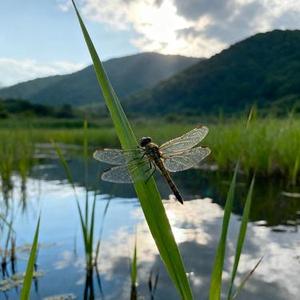 爱后余生 (DJ) (十万场劫 & 周潇齐 Remix)