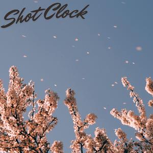 Shot Clock