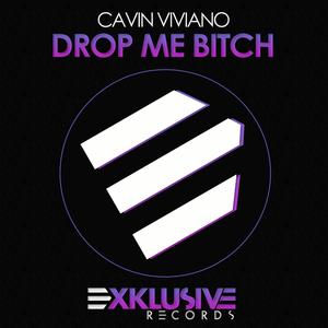 Drop Me ***** (Original Mix)