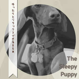 Tranquil Brook Reflections