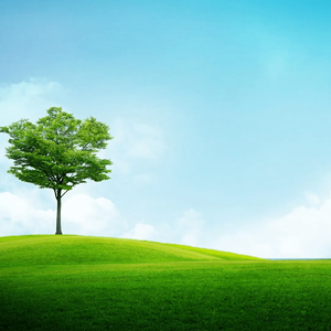 《黄昏的恋曲》