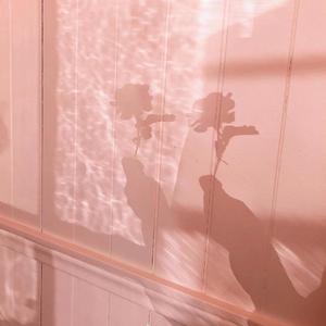 我又初恋了（翻自 创造101女孩）