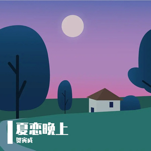 夏恋的晚上