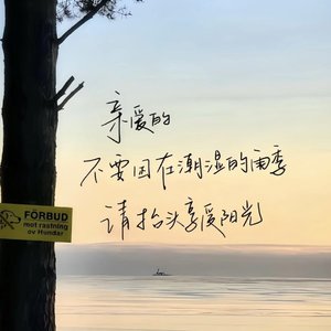 《宇宙级浪漫》