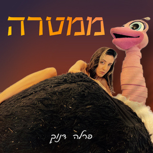ממטרה