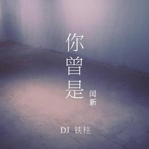 你曾是（DJ铁柱版）