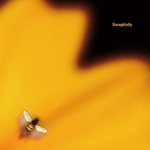 蜂蜜和蜜蜂(Argument)