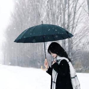 离开这座城市离开你