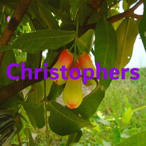 Christophers