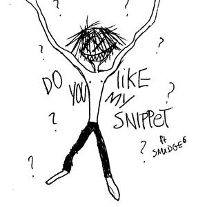 Do You Like My Snippet? (feat. Smxdge6)