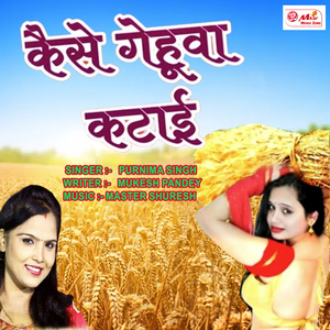 Kaise Gehuva Kataai