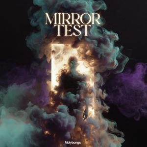 Mirror Test