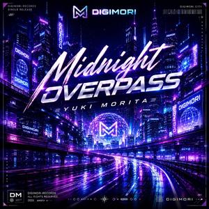 Midnight Overpass