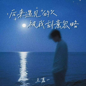 后来遇见的人被我刻意忽略