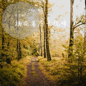 杨花落尽子规啼