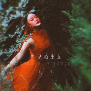 再见陌生人