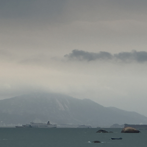 迁徙候鸟的季节温度