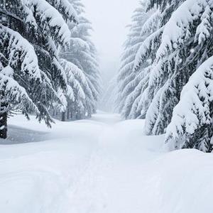 差点余生都是你 (Cover 烟嗓船长)