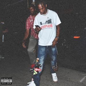 Rockstar Skinnies