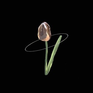 太阳很刺眼别急着推门