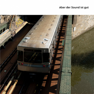 Raccoon (Salad Days Are Over)