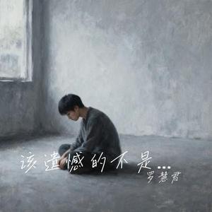 该遗憾的不是我