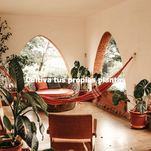 Sprightly Ambiance for Fresh Weekends