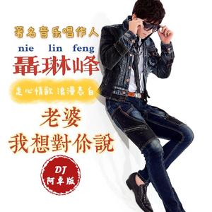 老婆我想对你说 (DJ版)