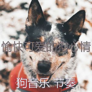 微妙的训练你的狗心情