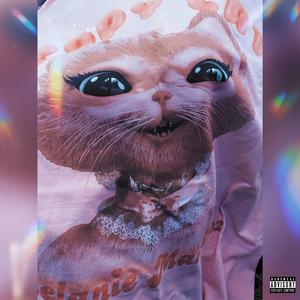 Pussy Nigga