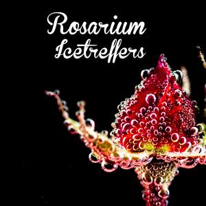 Rosarium