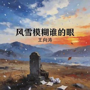 风雪模糊谁的眼