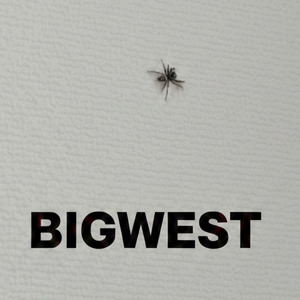 Spiderling
