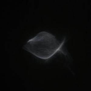 你知不知道我像一条鱼