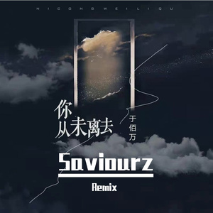 你从未离去(Saviourz Remix)