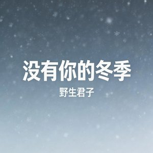 没有你的冬季