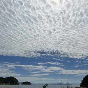 分かり合い (アレンジ Ver.)