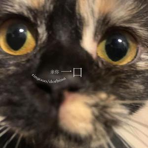 一口（cover：丁世光）