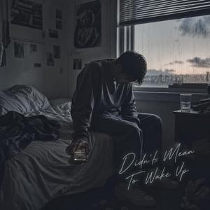 Didn't Mean To Wake UP