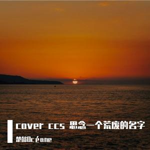 思念一个荒废的名字