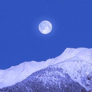 喜欢你但害怕--果子