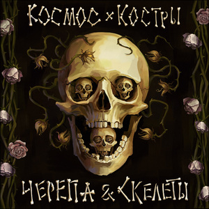 Черепа & скелеты