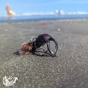遺作 (feat. kasper, Voniki & miura)