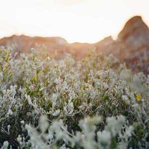 玉楼春晓（琴、箫）