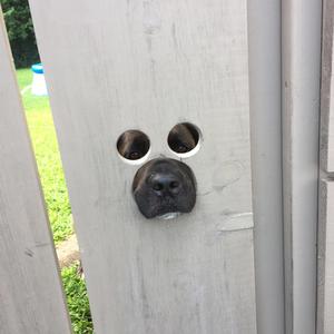 AHHHH