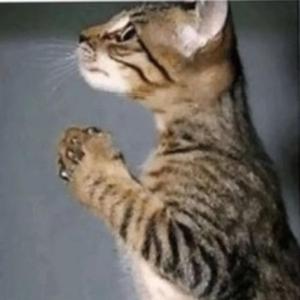 wtb (feat. yen core)